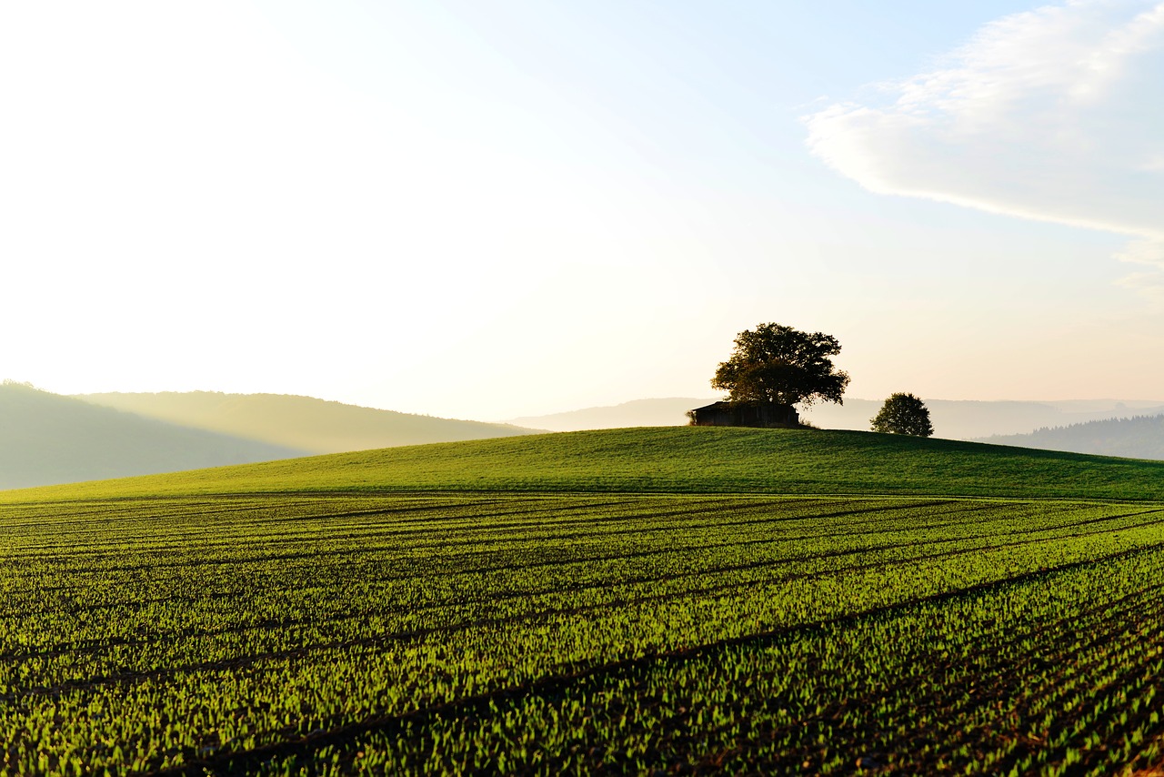 land